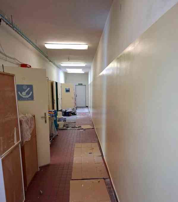 Malíř naterač hledá zakázky  - foto 9