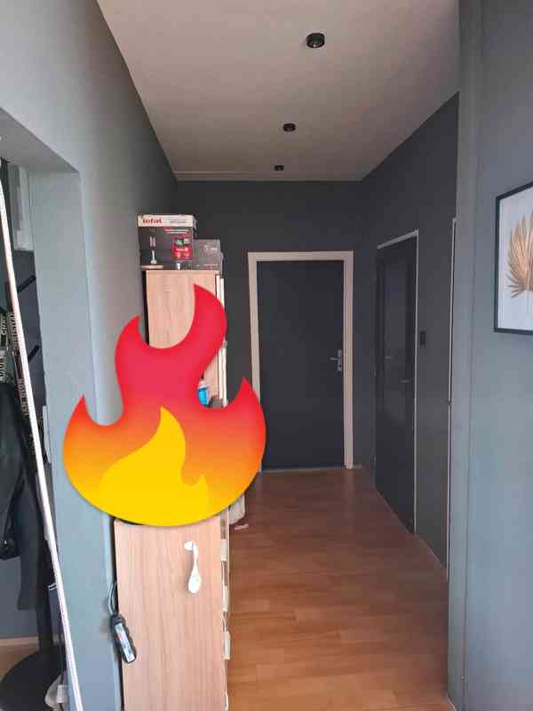 Malíř naterač hledá zakázky  - foto 16