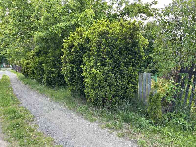 Prodej zahrady 376 m², Stružnice - Bořetín. - foto 2