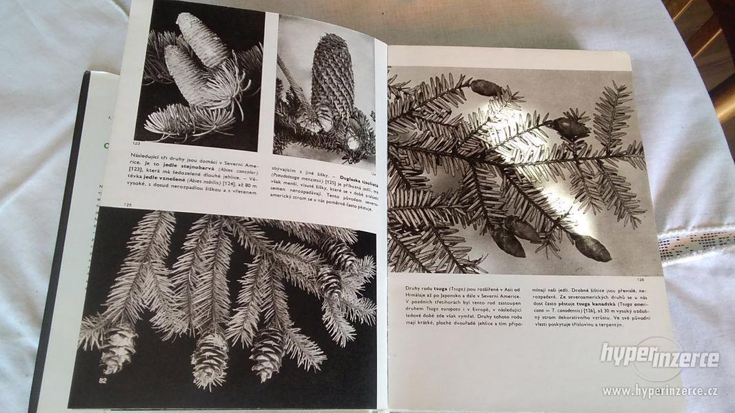 Velký obrazový atlas rostlin - foto 6
