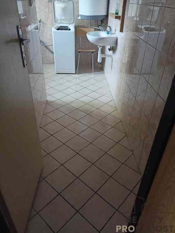 PRONÁJEM BYTU 1+KK 117m2 - VESELICE - VAVŘINEC - foto 12