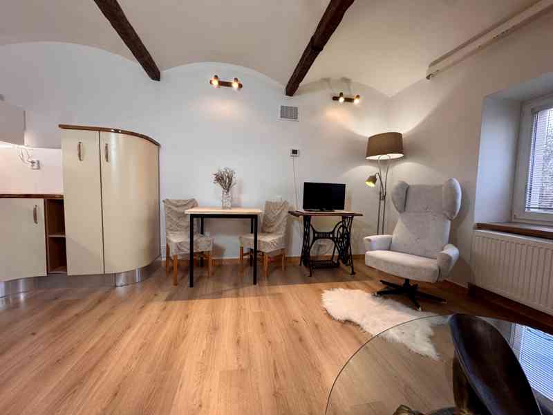 Kompletně vybavený bytu 1+kk se zahrádkou a bazénem - foto 4