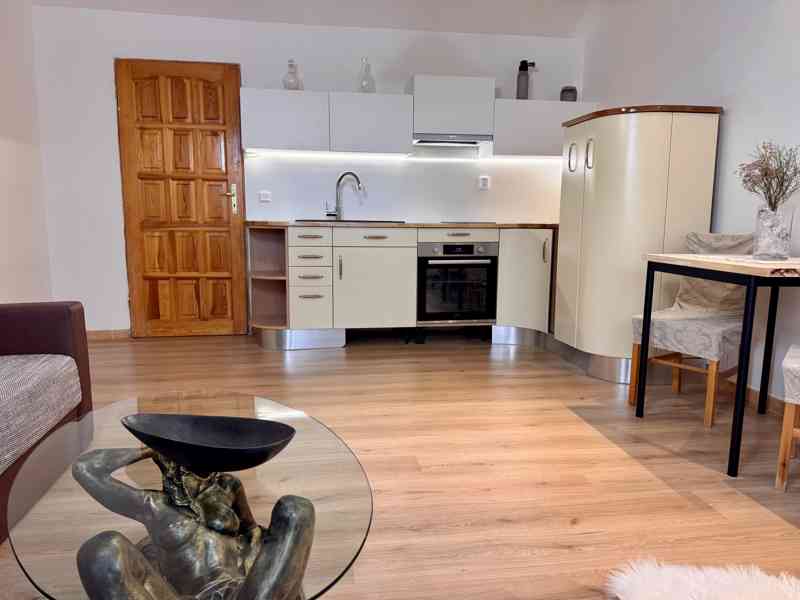 Kompletně vybavený bytu 1+kk se zahrádkou a bazénem - foto 6