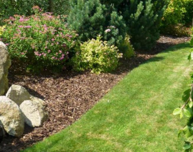 Realizace, údržby, návrhy, projektizace zahrad  - foto 4