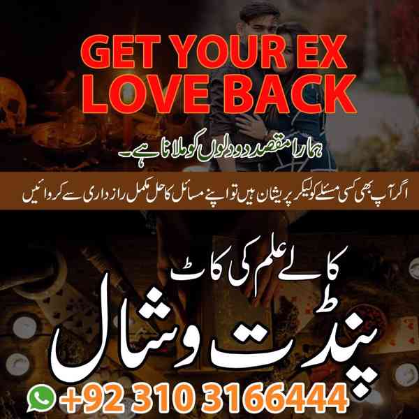 Professional Astrologer & Black Magic Expert – Amil Baba USA - foto 2