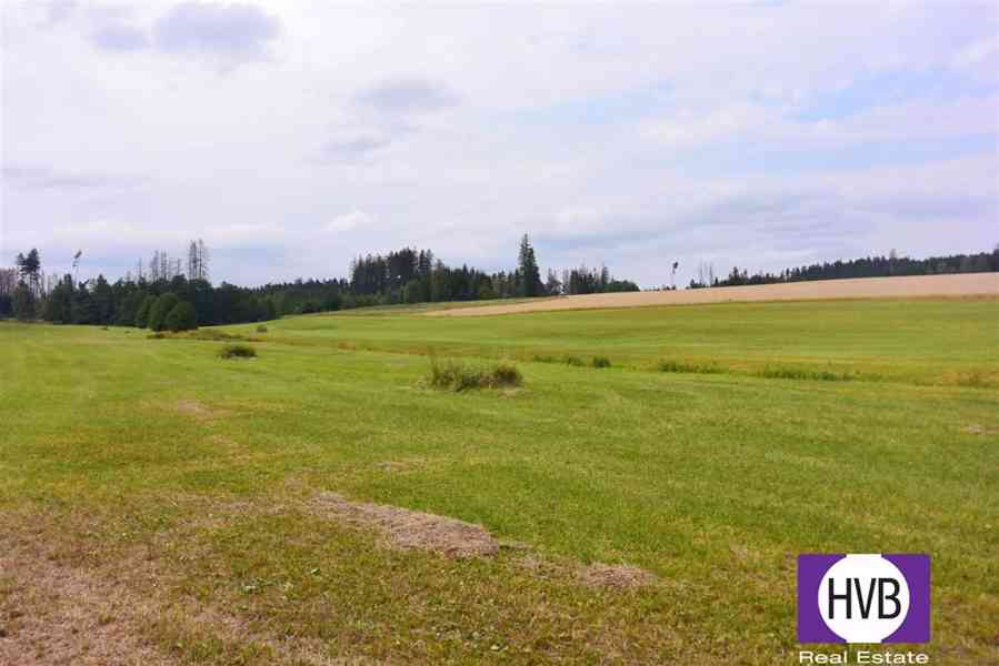 Prodej dvou rodinných domů, pozemek 10 136 m2, Nové Práchňany okr. Benešov - foto 2