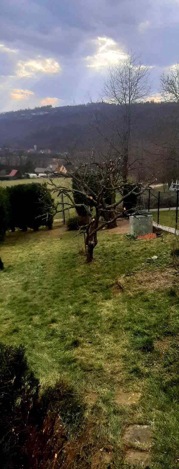 Realizace, údržby, návrhy zahrad  - foto 2