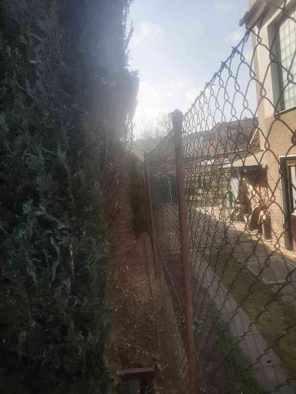 Realizace, údržby, návrhy zahrad  - foto 4