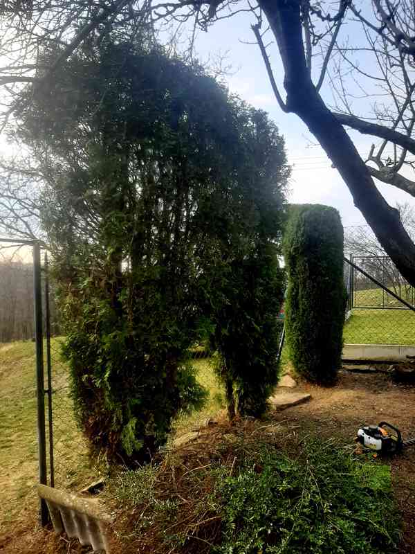 Realizace, údržby, návrhy zahrad  - foto 6