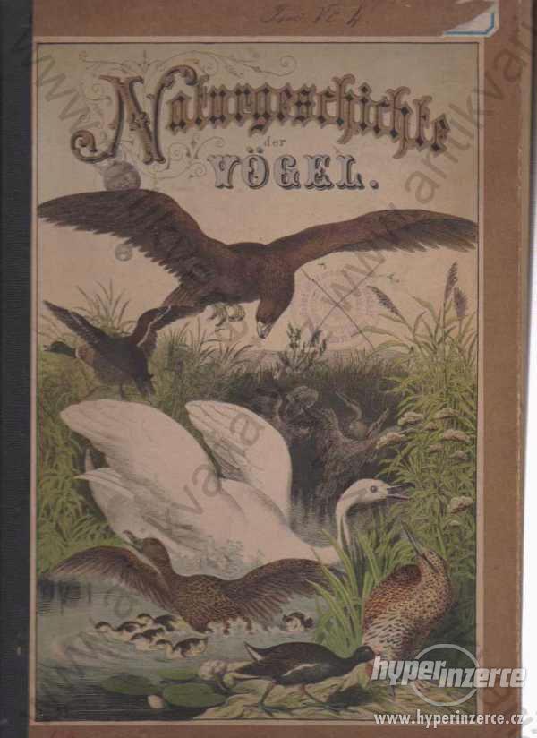 Naturgeschichte der Vögel Schubert 1876 - foto 1