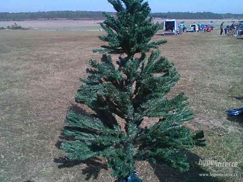 Vánoční strom - foto 1