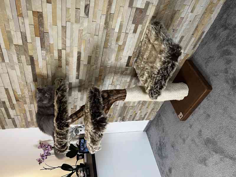Škrabadla pro kočky  - foto 2