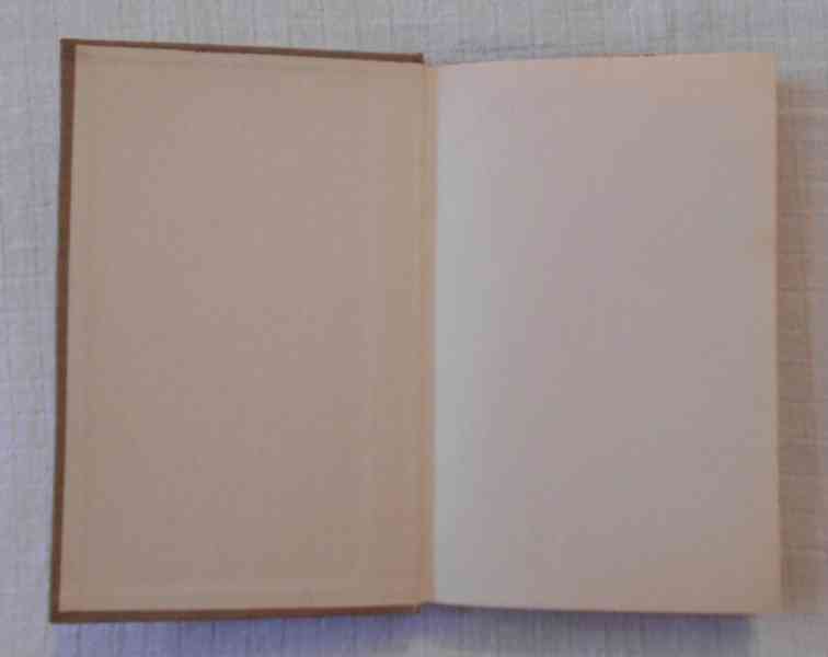 Gustave Flaubert - Paní Bovaryová - Odeon 1966 - foto 2