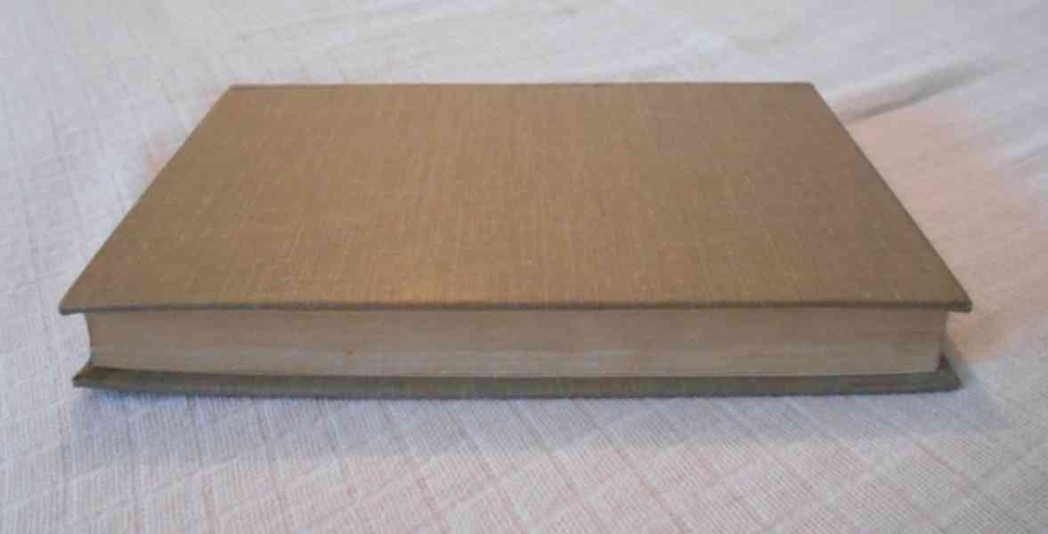 Gustave Flaubert - Paní Bovaryová - Odeon 1966 - foto 7