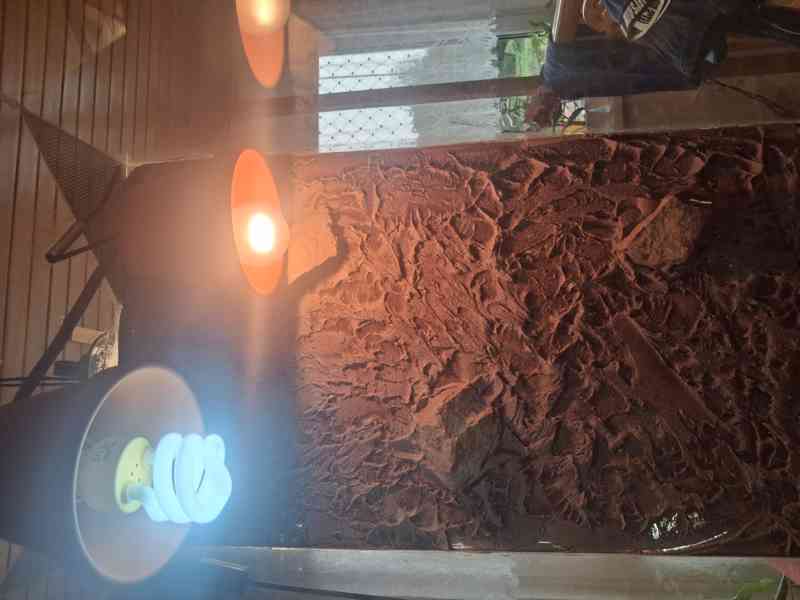Terarium pro chameleona - foto 1