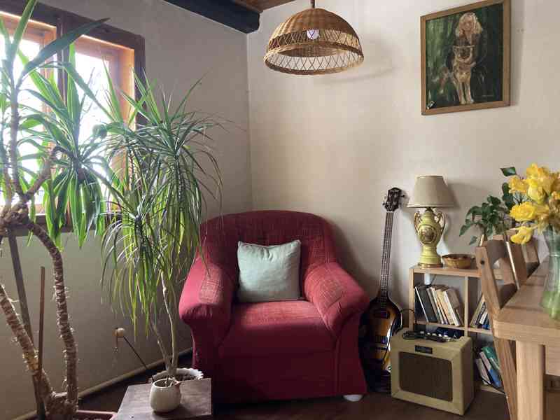 Rodinný domek 5+kk s krbem, velkou stodolou - foto 11