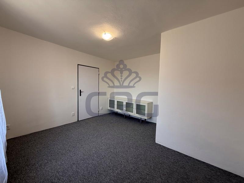 PRONÁJEM RD 4+1 O CP 201M2 S GARÁŽÍ A DVOREM, ČEBÍN - foto 8