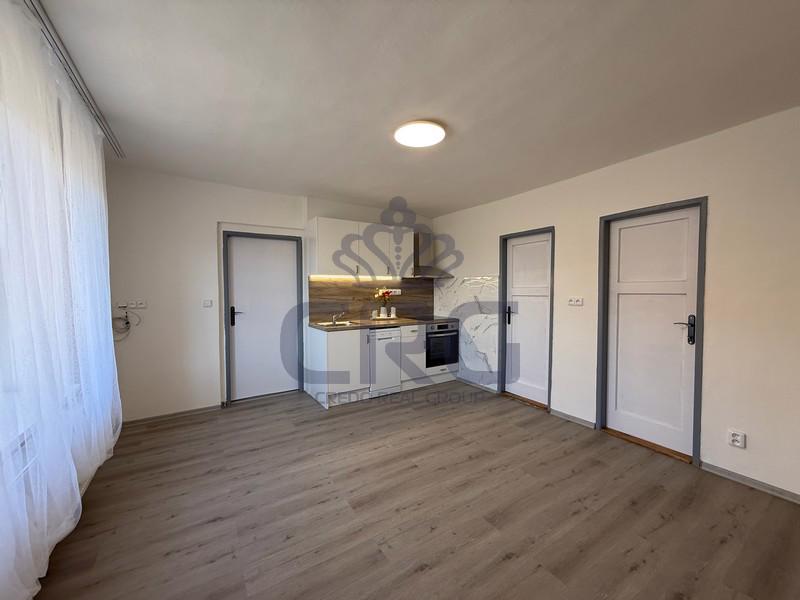 PRONÁJEM RD 4+1 O CP 201M2 S GARÁŽÍ A DVOREM, ČEBÍN - foto 2