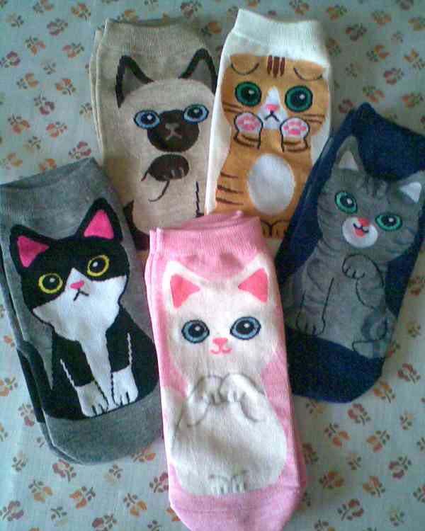 Věci s kočičkou Marií - foto 11