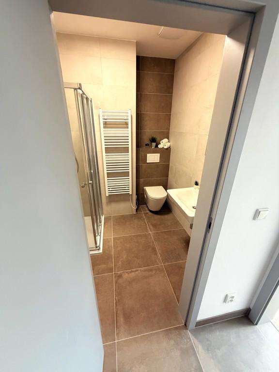 PRONÁJEM NOVOSTAVBY BYTU 2+KK V BRNĚ ŽIDENICÍCH - foto 13