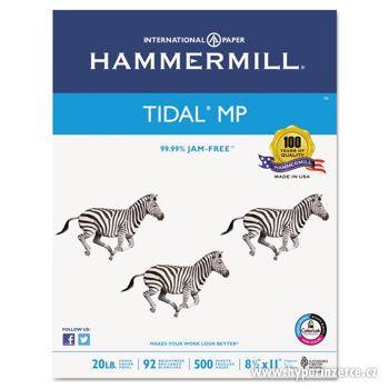 Hammermill Tidal Multi-Purpose - foto 3