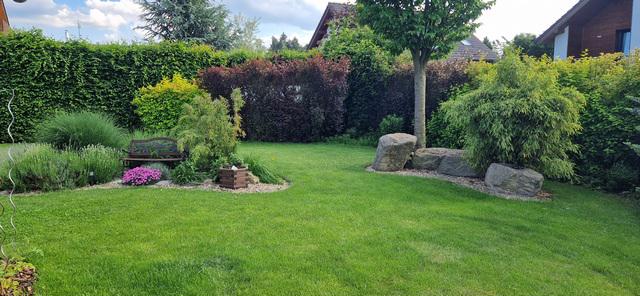 Podnájem/spolubydlení - foto 2