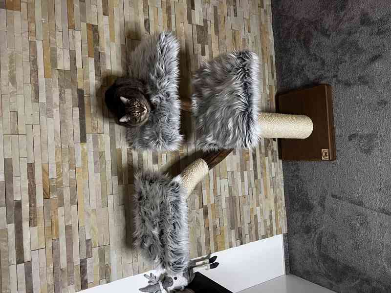 Škrabadla pro kočky  - foto 3