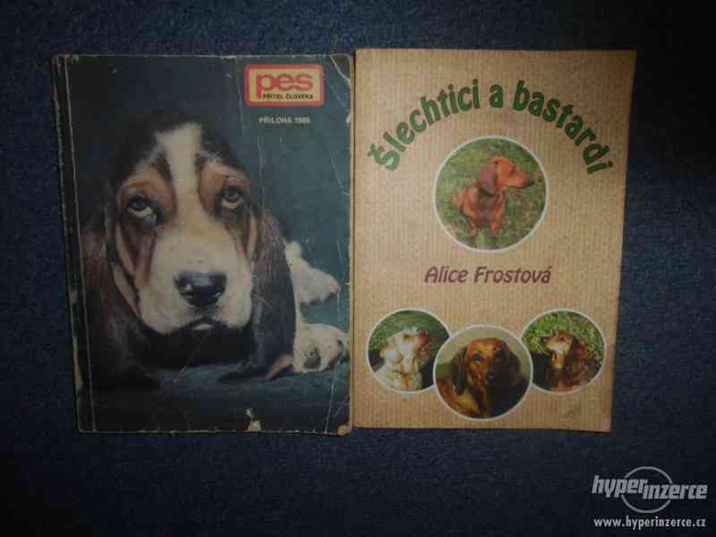 Šlechtici a bastardi – Alice Frostová + Pes přítel člověka - foto 1