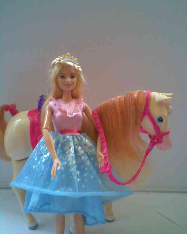 Barbie rodina a nábytek - foto 11