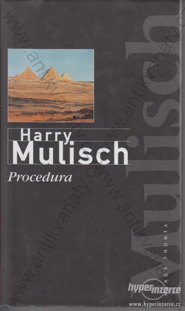Procedura Harry Mulisch Mladá fronta, Praha 2001 - foto 1
