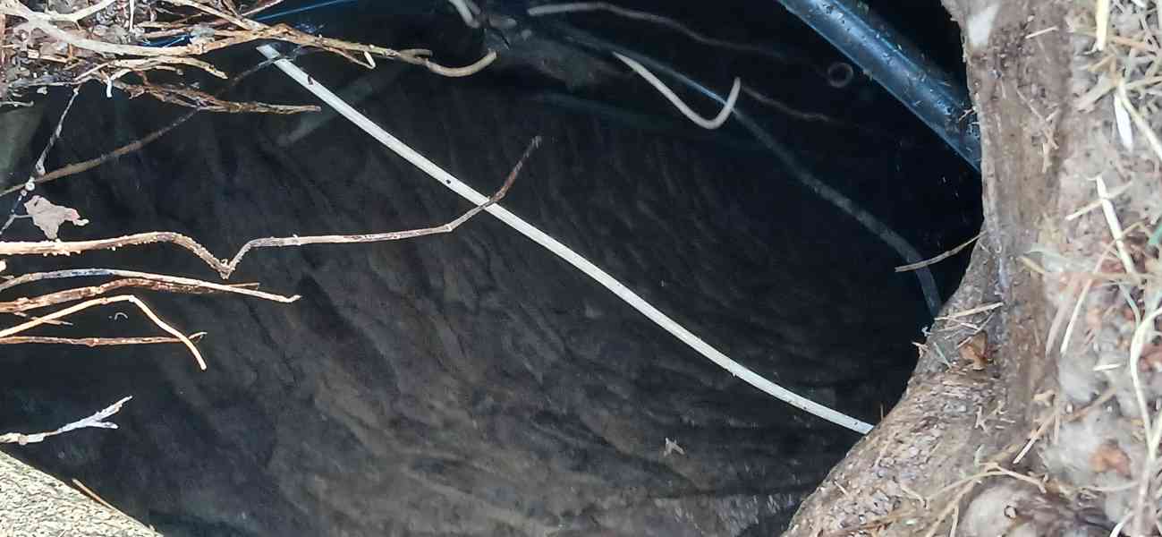 Barabizna  v jižních Čechách na prodej - foto 7