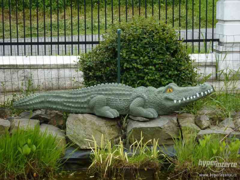 krokodýl - foto 1