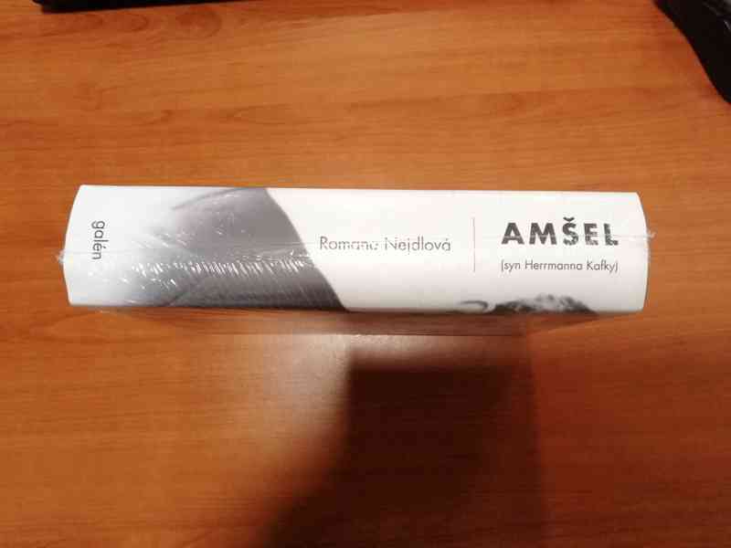PRODÁM KNIHU ROMANA NEJDLOVÁ: AMŠEL, syn Herrmanna Kafky - foto 2