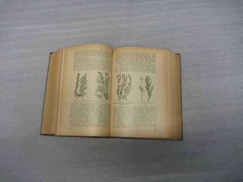Kniha Přírodní léčba - DRA. Petr Ondřej, r. 1931 - foto 5