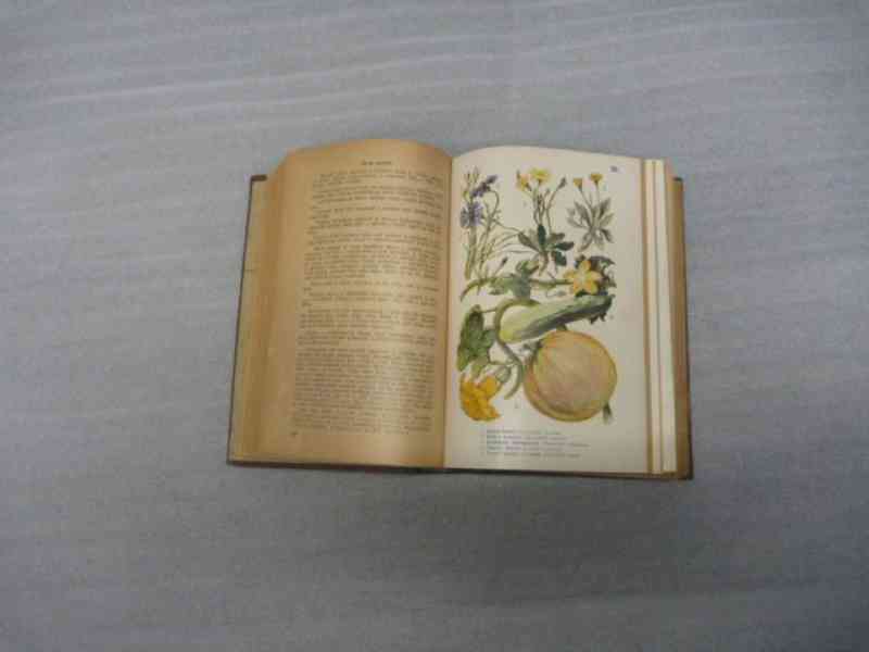 Kniha Přírodní léčba - DRA. Petr Ondřej, r. 1931 - foto 4