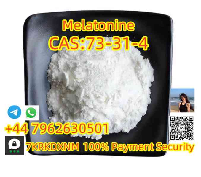 Fast Shipping Melatonin Powder CAS 73-31-4  - foto 3