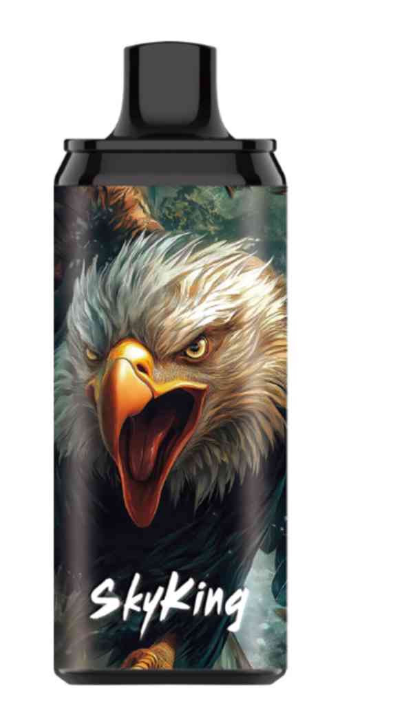 ⭐ Lavie Skyking 40000 – Prémiová jednorázová e-cigareta - foto 2