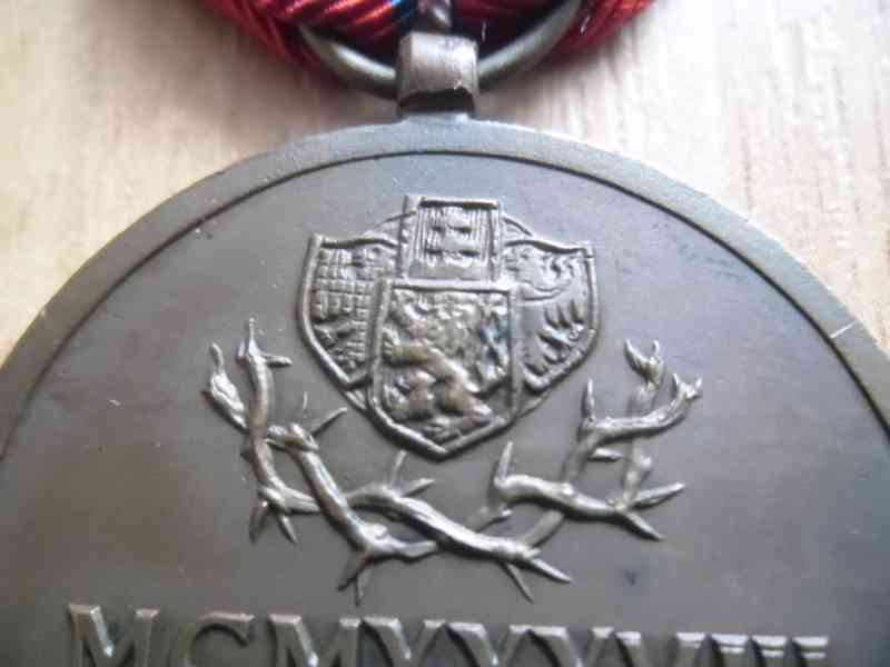 vyznamenání pro Československé dobrovolníky z let 1918-1919 - foto 5