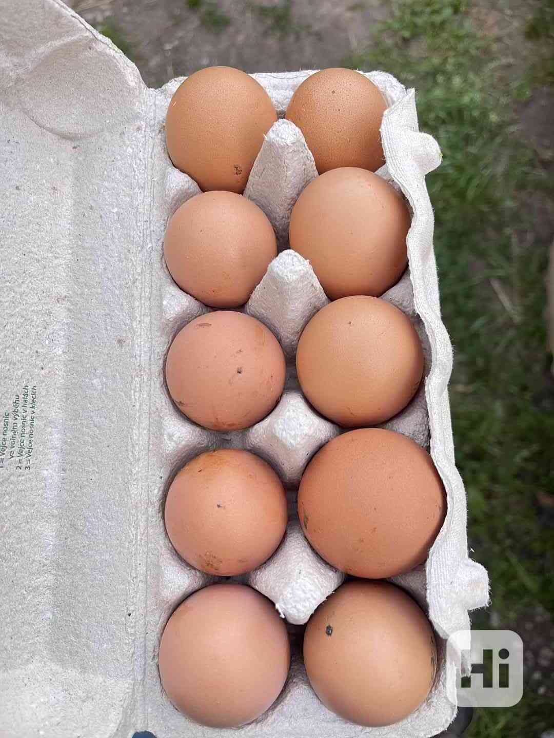 Domácí vajíčka  - foto 1