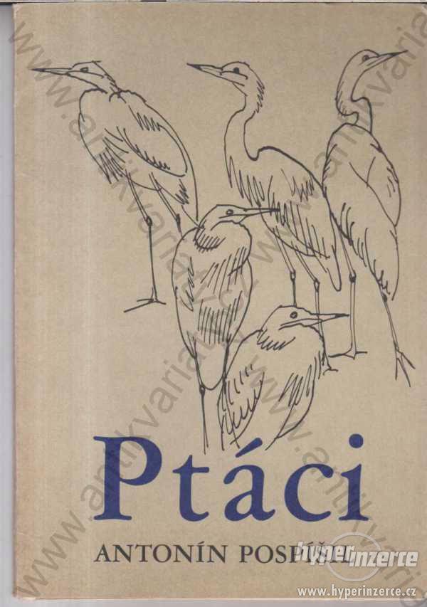 Ptáci Antonín Pospíšil  Albatros, Praha 1974 - foto 1