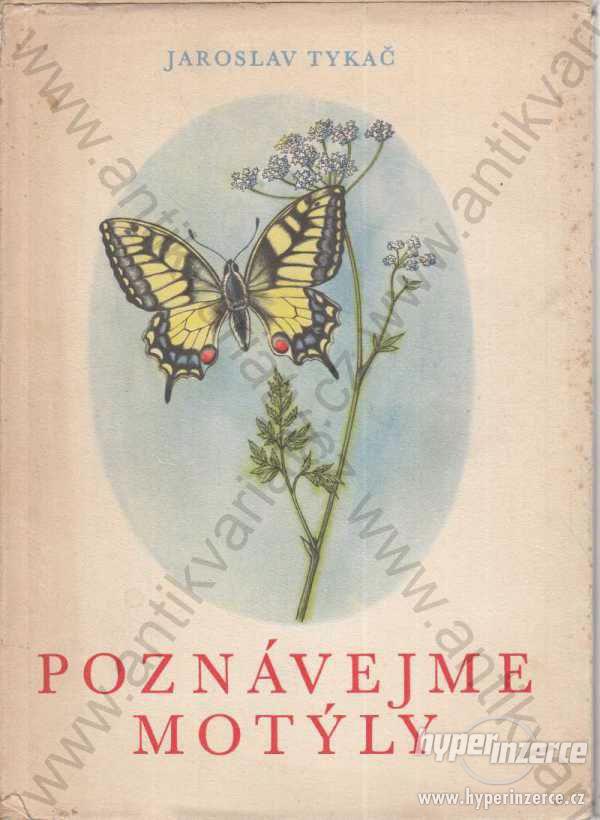 Poznávejme motýly Dr. Jaroslav Tykač 1963 SPN - foto 1