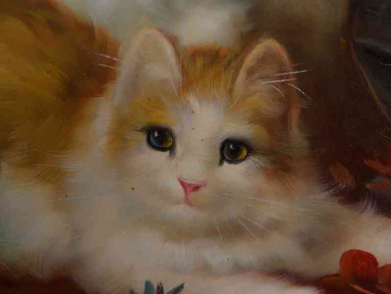 Obraz koťátka. Olej na desce 54 X 44 cm - foto 6