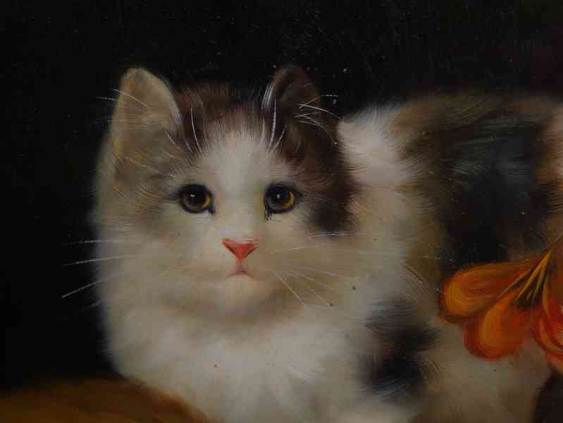 Obraz koťátka. Olej na desce 54 X 44 cm - foto 7