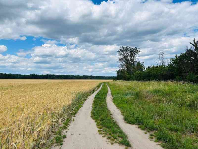 Krásna Veľká Lúka - foto 19