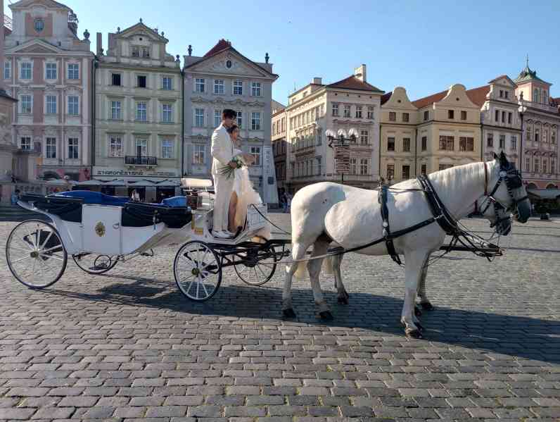 Kočár tažený koňmi  - foto 3