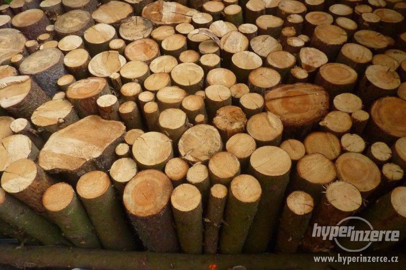 Dřevo - foto 1