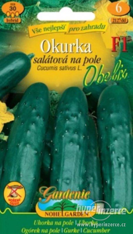Okurka salátová, Obelix (semena)  www.levna-semena.cz