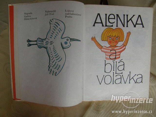 Alenka a bílá volavka - foto 3
