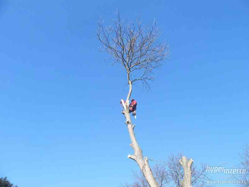 Kácení stromů Třebíč , Rizikové kácení stromů Třebíč - foto 3