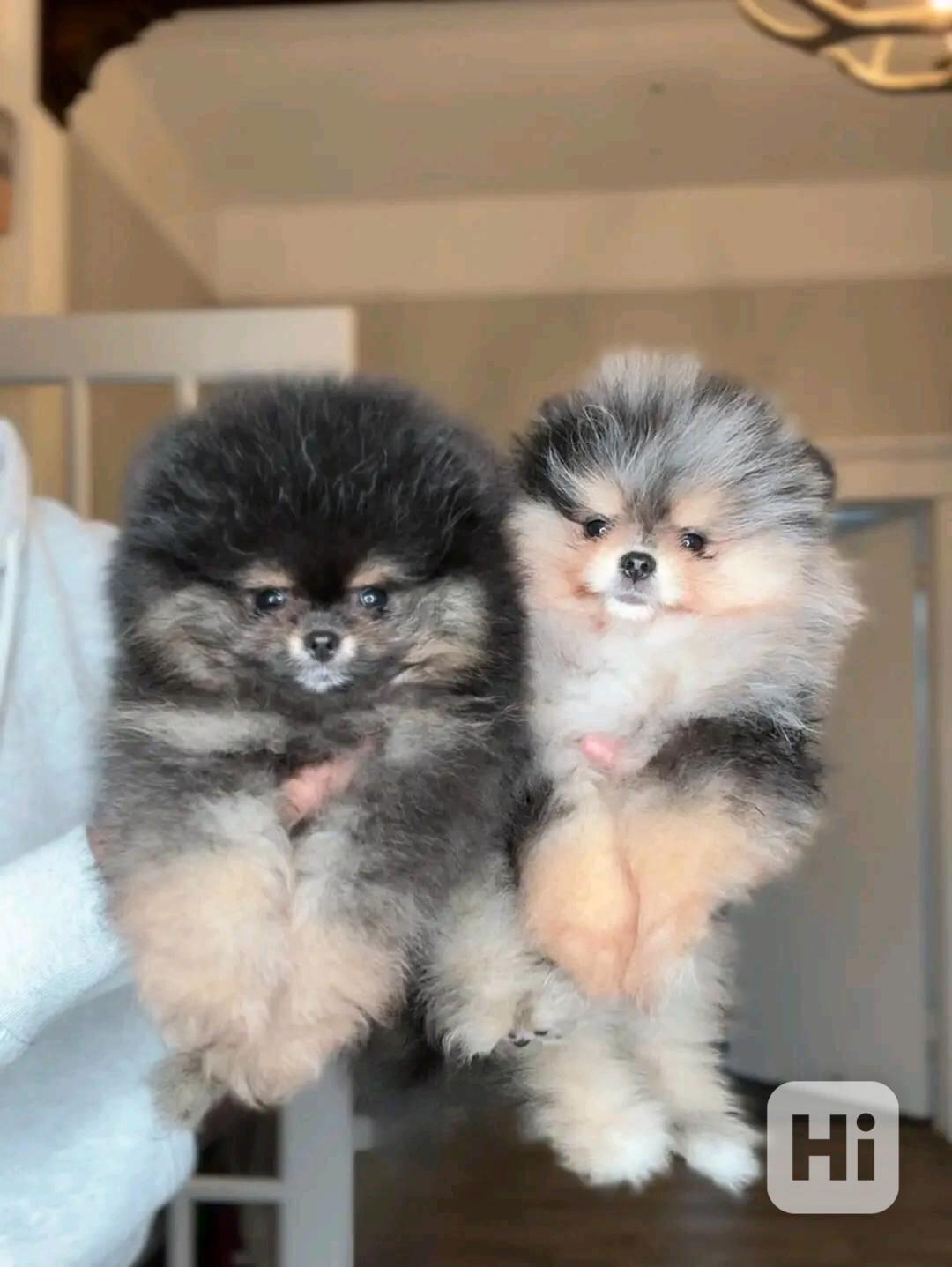 Pom na prodej - foto 1